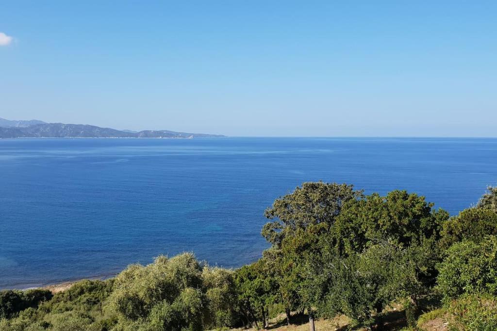Casa Marine Du Soleil 60 Leilighet Patrimonio Eksteriør bilde